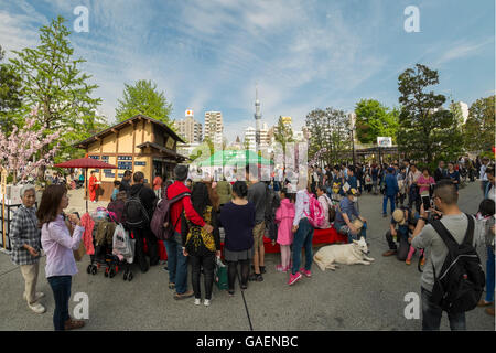 Un pubblico della cerimonia del tè in Asakusa, Tokyo. Foto Stock