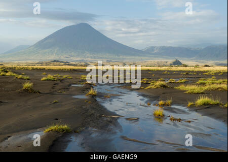 Il vulcano attivo Ol Doinyo Lengai presso il Lago Natron, Tanzania Foto Stock
