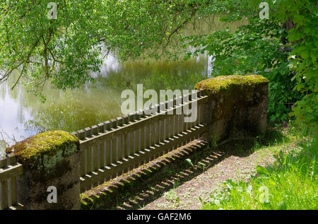 Zaun am Wasser - recinzione in prossimità di acqua 03 Foto Stock