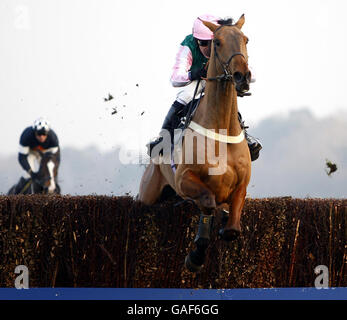 Horse Racing - Ascot Racecourse Foto Stock