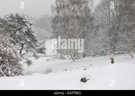 Persona che cammina attraverso la neve in un parco a Tunbridge Wells, Kent, Regno Unito. Foto Stock