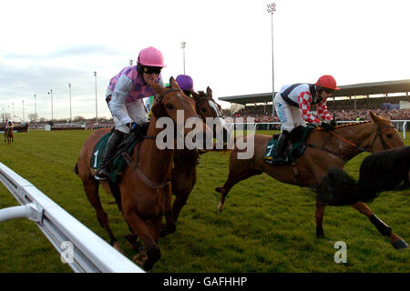 Horse Racing - Stan James Festival di Natale 2007 - Kempton Park Racecourse Foto Stock