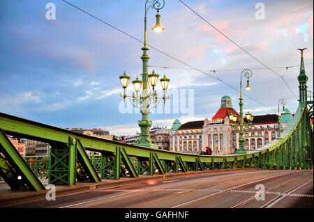 BUDAPEST, Ungheria - 14 Maggio: Vista del ponte della libertà nel centro di Budapest il 14 maggio 2016. Solo uso editoriale Foto Stock