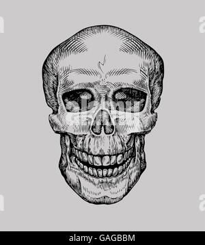 Cranio umano. Disegnata a mano Jolly Roger. Schizzo morte o zombie illustrazione vettoriale Illustrazione Vettoriale