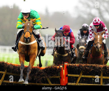 Horse Racing - Victor Chandler giorno - Ascot Racecourse Foto Stock