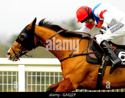 Horse Racing - Victor Chandler giorno - Ascot Racecourse Foto Stock