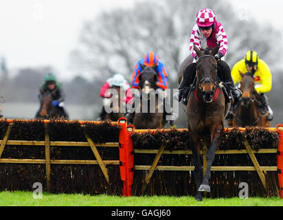 Horse Racing - Victor Chandler giorno - Ascot Racecourse Foto Stock