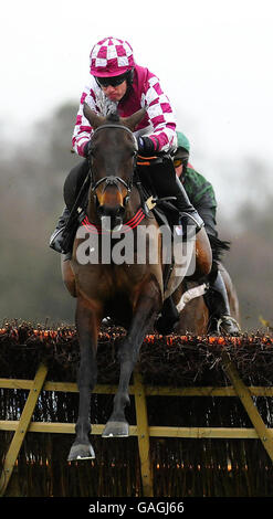 Horse Racing - Victor Chandler giorno - Ascot Racecourse Foto Stock