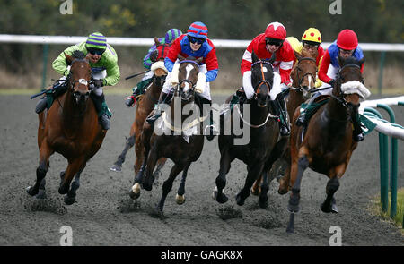 Vincitore Crimson Fern e jockey MR S Waker (giallo/rosso seconda a destra) durante l'Hotel che arriva a Lingfield Park Amater Riders handicap Stakes presso l'ippodromo di Lingfield, Surrey. Foto Stock