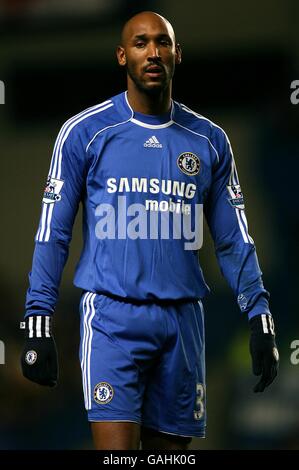 Calcio - Barclays Premier League - Chelsea v Lettura - Stamford Bridge Foto Stock