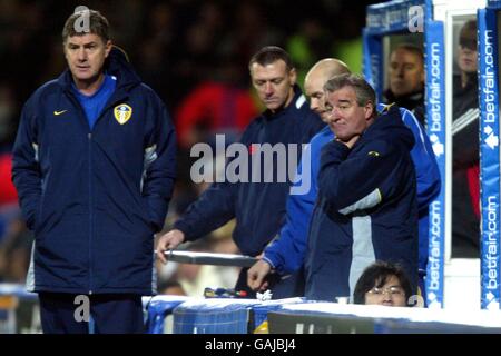 Calcio - Barclaycard FA Premiership - Fulham v Leeds United Foto Stock