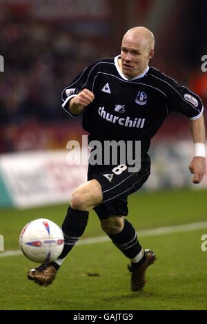 Calcio - Coppa Worthington - Quarters Final - Sheffield United contro Crystal Palace. Andrew Johnson, Crystal Palace Foto Stock