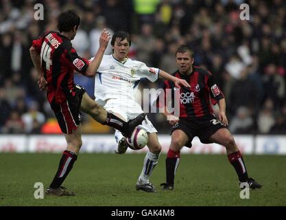 Calcio - Coca-Cola Football League 1 - Leeds United v Bournemouth - Elland Road. Jonathan Howson del Leeds United e Danny Hollands di Bournemouth in azione durante la partita della Coca-Cola League One a Elland Road, Leeds. Foto Stock