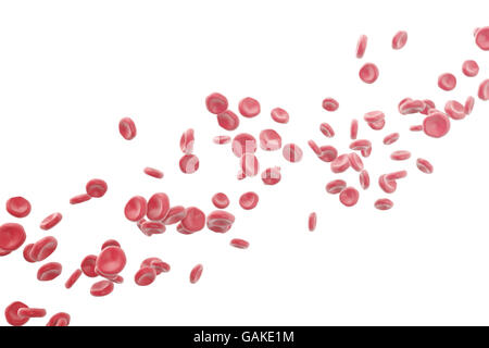 Illustrazione di cellule di sangue rosso isolato su sfondo bianco. Foto Stock