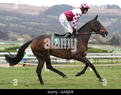 Corse di cavalli - Festival di Cheltenham - quattro giorni - Ippodromo di Cheltenham. Labelthou guidato da Robert Timmy Murphy nel 12.30 David Nicholson Mares ostacoli durante il Cheltenham Festival Foto Stock