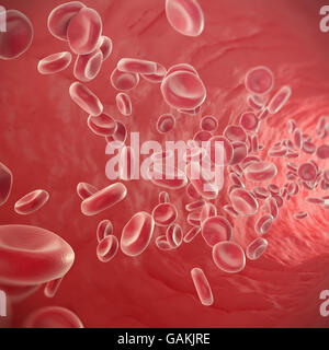 Le cellule rosse del sangue che scorre attraverso le vene della umana del sistema circolatorio. 3d illustrazione Foto Stock