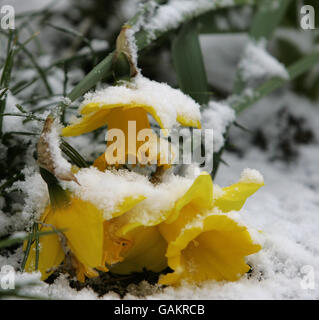 Neve colpisce il Regno Unito Foto Stock