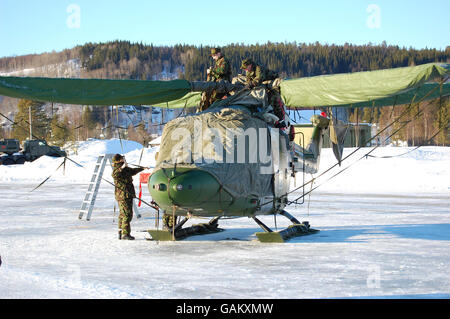 Elicottero Lynx della Commando Helicopter Force, 847 Naval Helicopter Squadron, con le coperture messe sul campo a Bardufoss, Norvegia, durante l'allenamento prima del dispiegamento in Afghanistan. Foto Stock