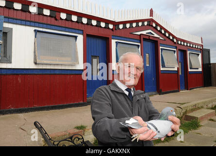 Un cree piccione classificato di grado II, costruito nel 1955 da Maurice Surtees, 75 anni, su assegnazione a Ryhope, Sunderland. Foto Stock