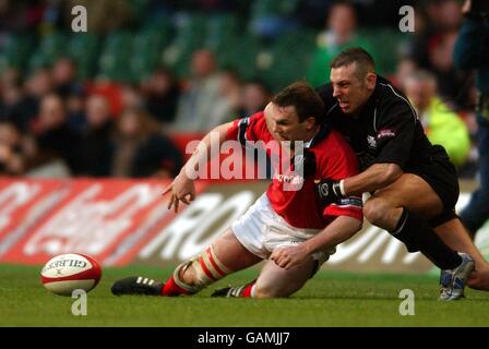 Rugby Union - Celtic League - finale - Munster v Neath Foto Stock