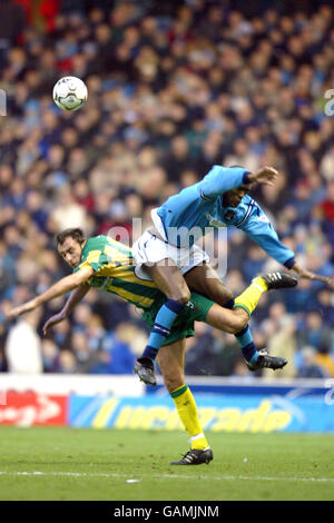 Sylvain Distin di Manchester City e Danny Dichio di West Bromwich Albion combatti per la palla Foto Stock