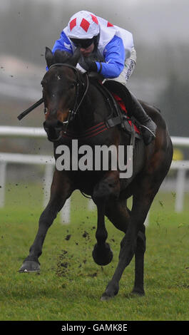 Horse Racing - ippodromo di Newbury Foto Stock