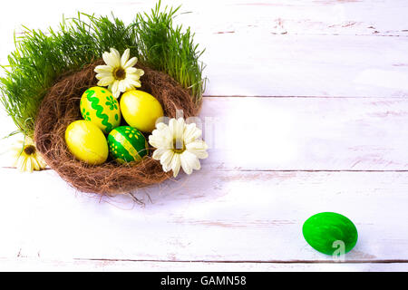 Giallo e verde di uova di Pasqua in un nido con giallo margherite fiori nel verde erba fresca in bianco sullo sfondo di legno. Oriente Foto Stock