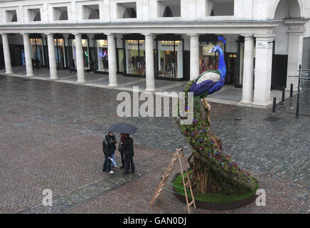 Artista Preston Bailey's pavoni floreali Foto Stock