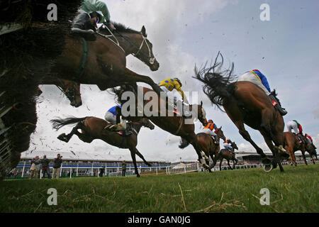 Una visione generale dell'ostacolo di apertura, la finale della serie Martinstown Opportunity durante il Festival Nazionale di Caccia 2008 all'Ippodromo di Punchestown, Irlanda. Foto Stock