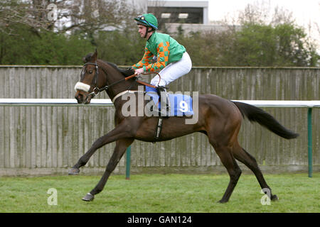 Horse Racing - Costruzione di primavera Raceday - Nottingham Racecourse Foto Stock