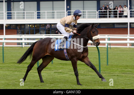 Horse Racing - Costruzione di primavera Raceday - Nottingham Racecourse Foto Stock