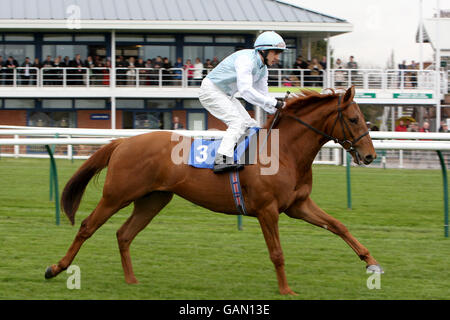 Horse Racing - Costruzione di primavera Raceday - Nottingham Racecourse Foto Stock