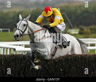 Jockey Ruby Walsh salta l'ultimo su Neptune Collonges per vincere la Guinness Gold Cup durante il National Hunt Festival 2008 all'ippodromo di Punchestown, Irlanda. Foto Stock