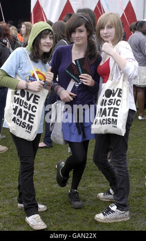 Festival-goers al Love Music Hate Racism festival 2008 a Victoria Park, Londra. Foto Stock