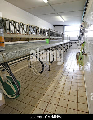 Sala di mungitura per pecore e capre in un allevamento di ovini Foto Stock