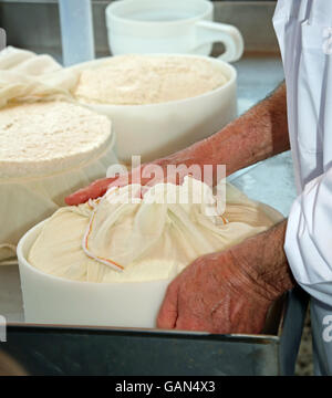 Mano di senior esperto casaro controlla la ruota di formaggio appena fatto nel caseificio di montagna Foto Stock