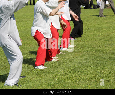 La gente esperta di arti marziali Tai Chi Il treno con movimenti per trovare la giusta posizione nel parco pubblico Foto Stock