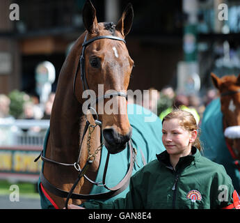 Papillon, vincitore del Grand National 2000, nel circuito della parata prima della giornata di corse durante il Grand National Meeting di John Smith del 2008. Foto Stock