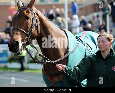 Corse di cavalli - Il 2008 John Smith il Grand National Meeting - L'Aintree Racecourse Foto Stock