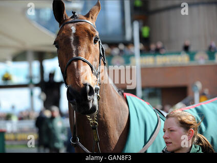 Papillon, vincitore del Grand National 2000, nel circuito della parata prima della giornata di corse durante il Grand National Meeting di John Smith del 2008. Foto Stock