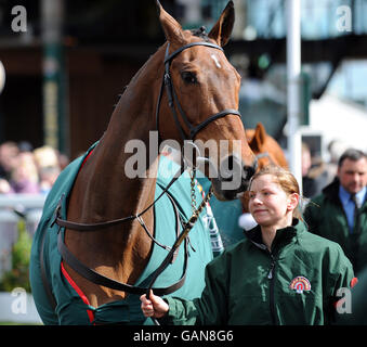 Corse di cavalli - Il 2008 John Smith il Grand National Meeting - L'Aintree Racecourse Foto Stock