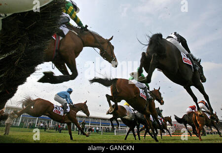 Una visione generale dell'ostacolo degli handicap dei feed del Cavallo di guadagno durante il Festival Nazionale di Caccia 2008 all'Ippodromo di Punchestown, Irlanda. Foto Stock