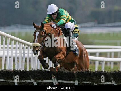 Il jockey Tony McCoys corre Jered alla vittoria nel campione del vcbet.com Novice Hundle durante il National Hunt Festival 2008 al Punchestown Racecourse, Irlanda. Foto Stock