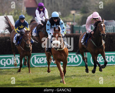 Jockey Noel Fehily guida il campo su Air Force One nell'inseguimento di Ellier Developments Hanover Reach Champion Novice Steeple durante il Festival Nazionale di Caccia 2008 all'Ippodromo di Punchestown, Irlanda. Foto Stock