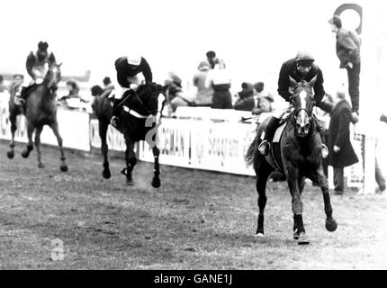 (R-L) Maori Venture, Steve Knight in su, passa il posto per vincere la Nazionale davanti a Tsarevich, John White in su, e Lean Ar Aghaidh, Guy Landau in su Foto Stock