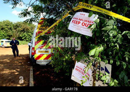 Una visione generale di Eastwood Farm a Shenington vicino a Branbury, Oxfordshire, dove un ceppo di influenza aviaria H7 è stato trovato nei polli. Foto Stock