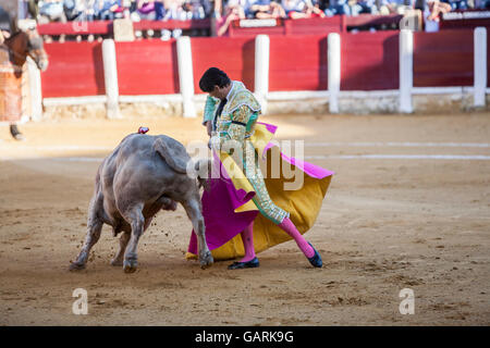 A Ubeda, Spagna - 29 Settembre 2010: Il torero spagnolo El Cid la corrida con la stampella nella corrida di Ubeda, Spagna Foto Stock