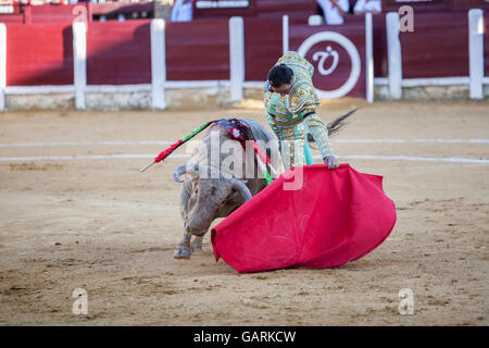 A Ubeda, Spagna - 29 Settembre 2010: Il torero spagnolo El Cid la corrida con la stampella nella corrida di Ubeda, Spagna Foto Stock