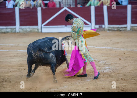 A Ubeda, Spagna - 29 Settembre 2010: Il torero spagnolo Daniel Luque la corrida con la stampella nella corrida di Ubeda, S Foto Stock