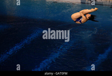 Diving - Fina Diving World Series 2008 - Giorno 2 - Ponds Forge Foto Stock